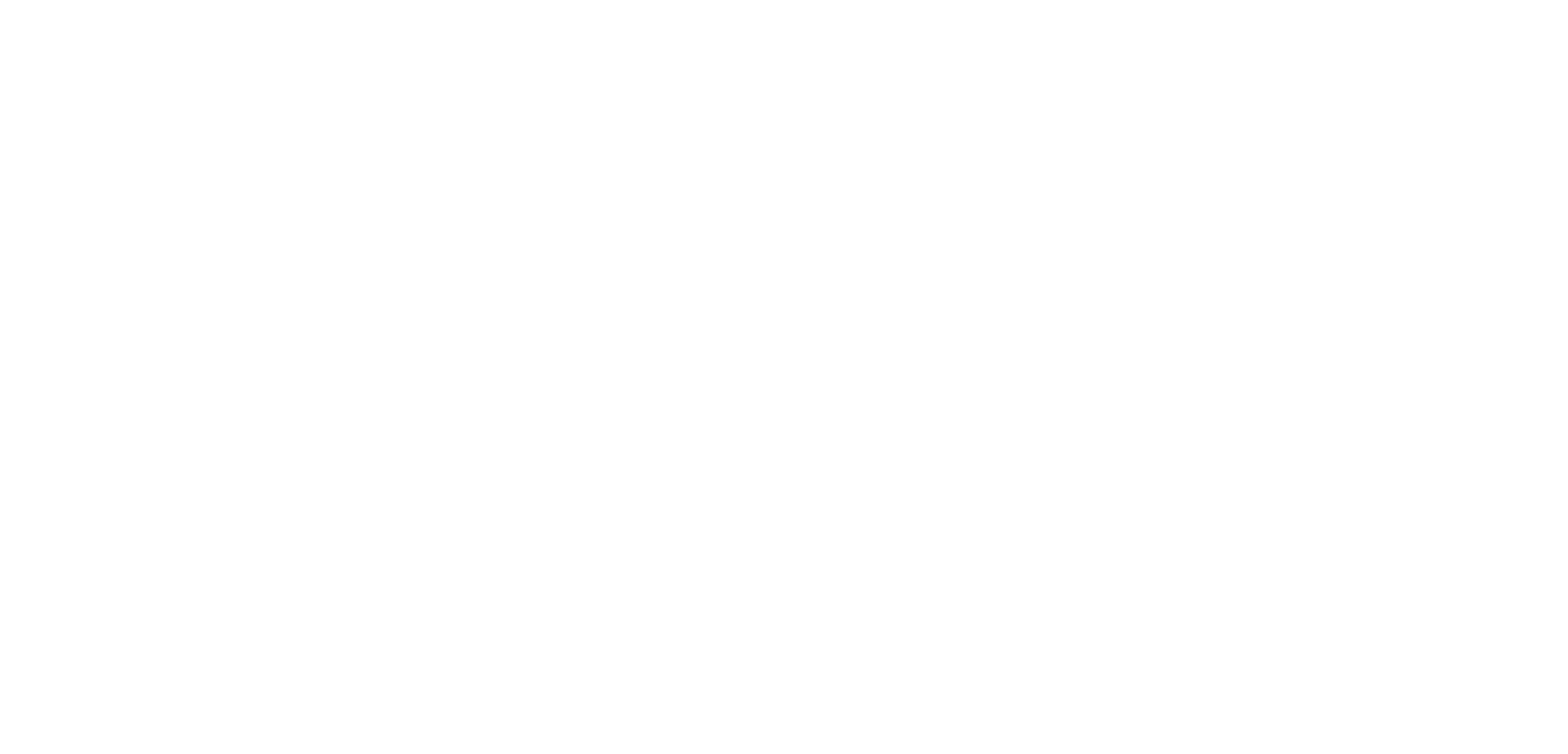 Captured Moments Co Logo